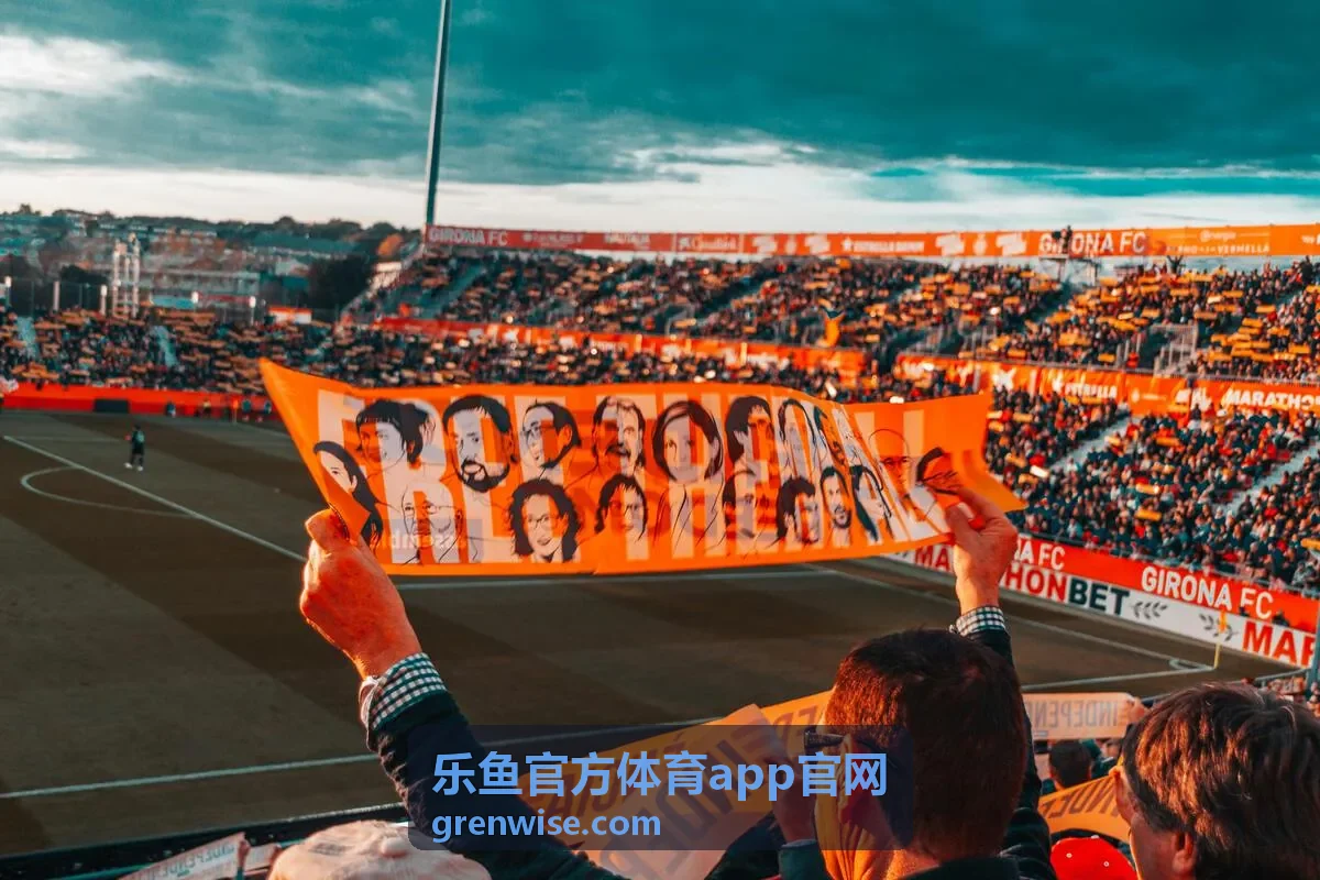 乐鱼官方体育app官网客户端功能与访问设置说明